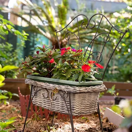 Fiori *